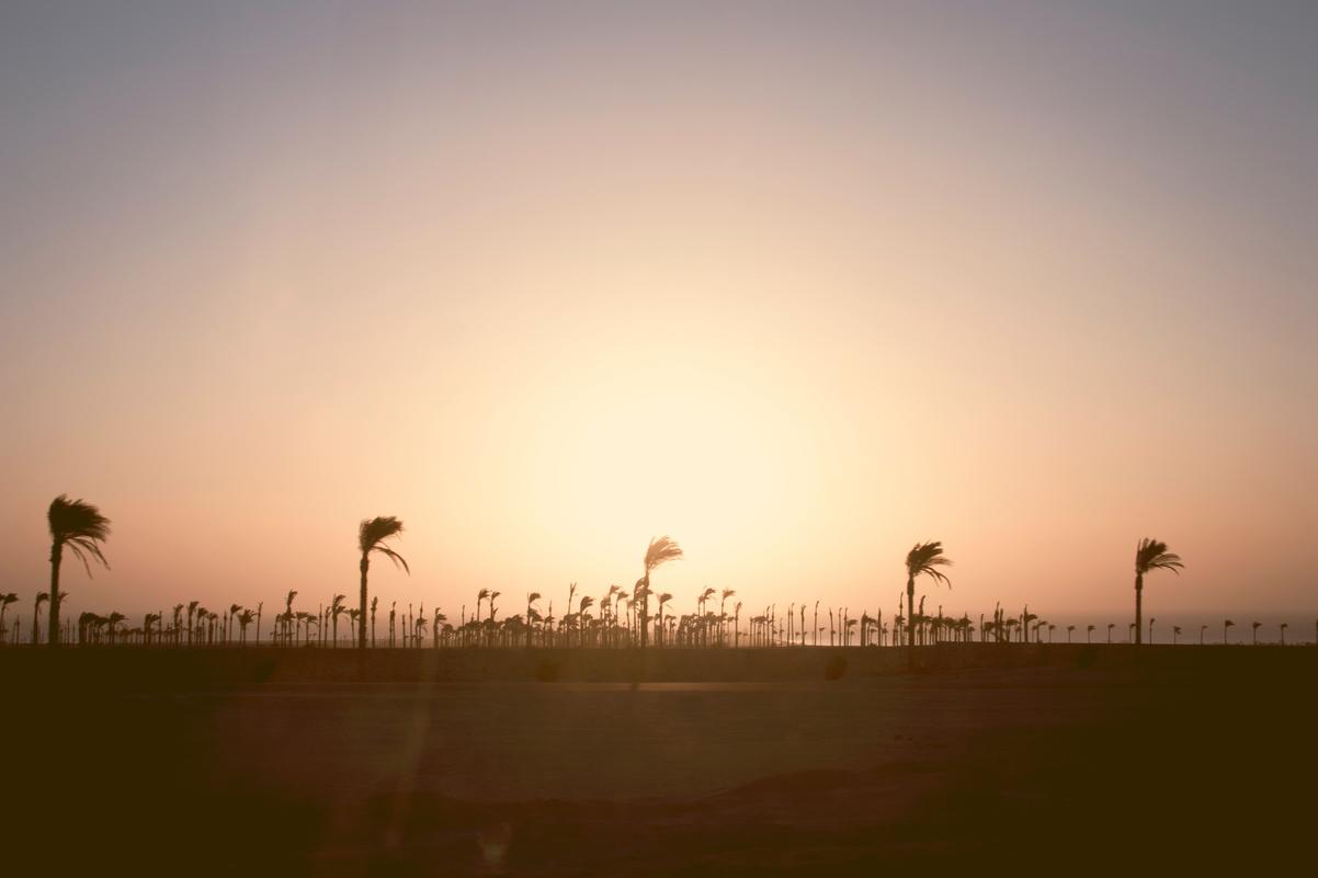 Eaque at voluptatem placeat et reprehenderit